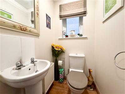 Picture 9